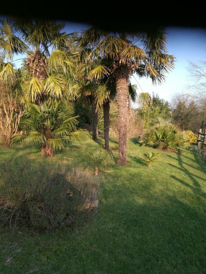 Le Coing Villa La Guiltiere Eksteriør bilde